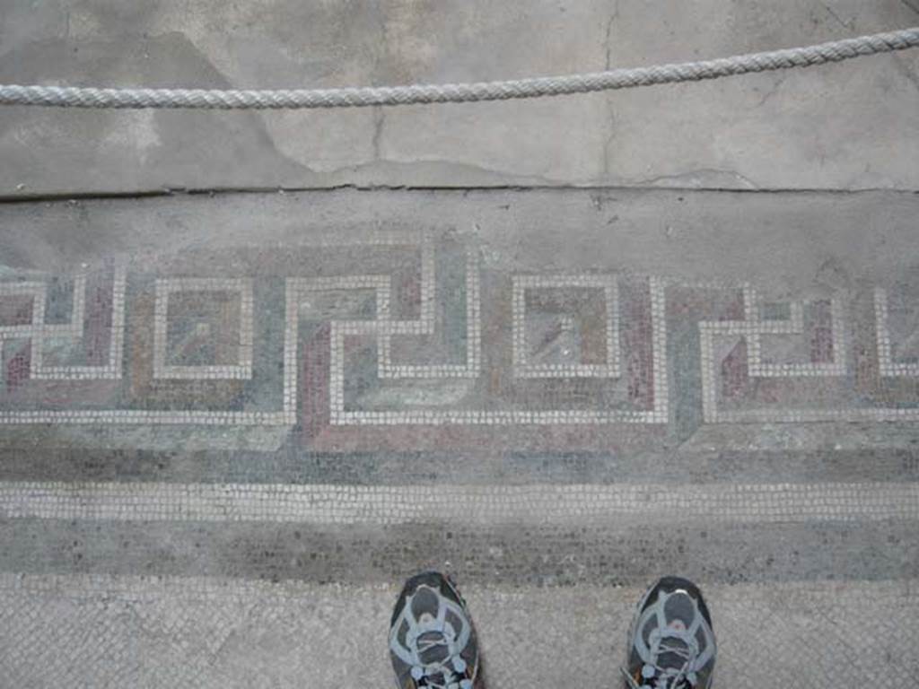 Oplontis Villa of Poppea, May 2010. 
Room 5, decorative mosaic border of the flooring near the impluvium. Photo courtesy of Buzz Ferebee. 
