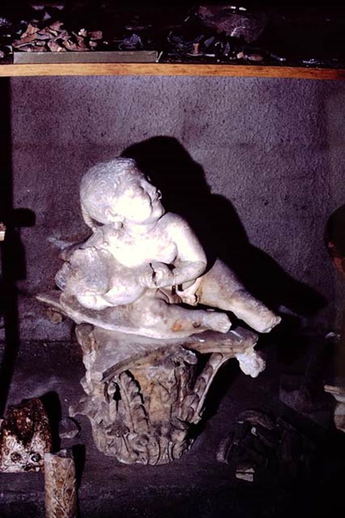 Oplontis, 1973. Statue of young child with goose. Photo by Stanley A. Jashemski. 
Source: The Wilhelmina and Stanley A. Jashemski archive in the University of Maryland Library, Special Collections (See collection page) and made available under the Creative Commons Attribution-Non Commercial License v.4. See Licence and use details. J73f0391  

