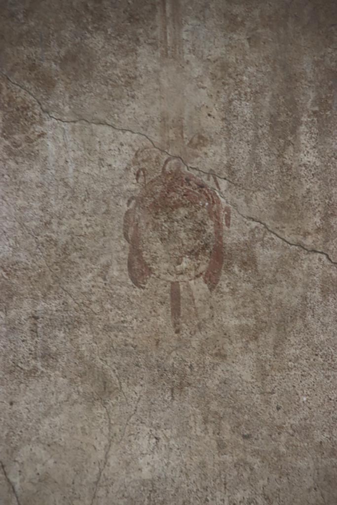 Oplontis Villa of Poppea, May 2024. 
Portico 40, detail from upper north wall in north-east corner. Photo courtesy of Klaus Heese.
