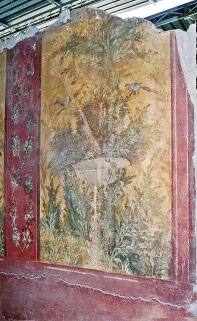 Oplontis Villa of Poppea, October 2001. Room 87, looking towards panel at south end of east wall. Photo courtesy of Peter Woods.
