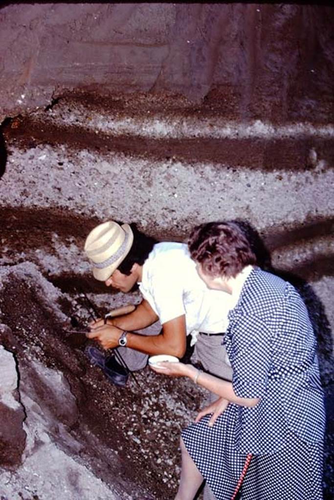 Oplontis, 1974. A discovery in the lapilli on the east side. Photo by Stanley A. Jashemski.   
Source: The Wilhelmina and Stanley A. Jashemski archive in the University of Maryland Library, Special Collections (See collection page) and made available under the Creative Commons Attribution-Non Commercial License v.4. See Licence and use details. J74f0162
