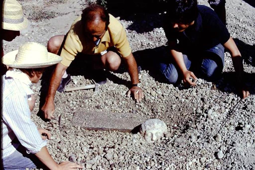 Oplontis, 1975. Discovery of a marble head and shaft. Photo by Stanley A. Jashemski.   
Source: The Wilhelmina and Stanley A. Jashemski archive in the University of Maryland Library, Special Collections (See collection page) and made available under the Creative Commons Attribution-Non Commercial License v.4. See Licence and use details. J74f0901
