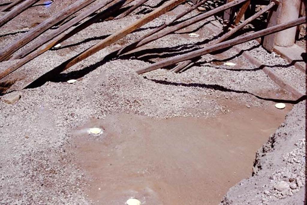 Oplontis, 1975. Root cavities on east side of area 59, the south-east peristyle. Photo by Stanley A. Jashemski.   
Source: The Wilhelmina and Stanley A. Jashemski archive in the University of Maryland Library, Special Collections (See collection page) and made available under the Creative Commons Attribution-Non Commercial License v.4. See Licence and use details. J75f0513
