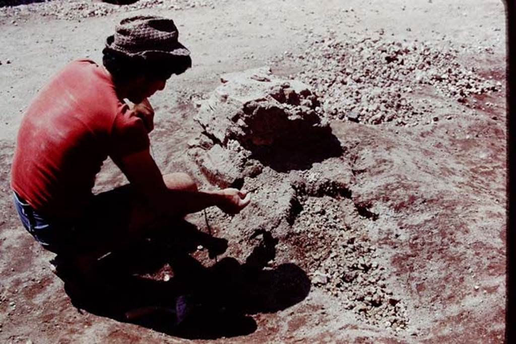 Oplontis, 1978. Finding of statue bases, and cavities at the rear, filled with lapilli. Photo by Stanley A. Jashemski.   
Source: The Wilhelmina and Stanley A. Jashemski archive in the University of Maryland Library, Special Collections (See collection page) and made available under the Creative Commons Attribution-Non Commercial License v.4. See Licence and use details. J78f0254
