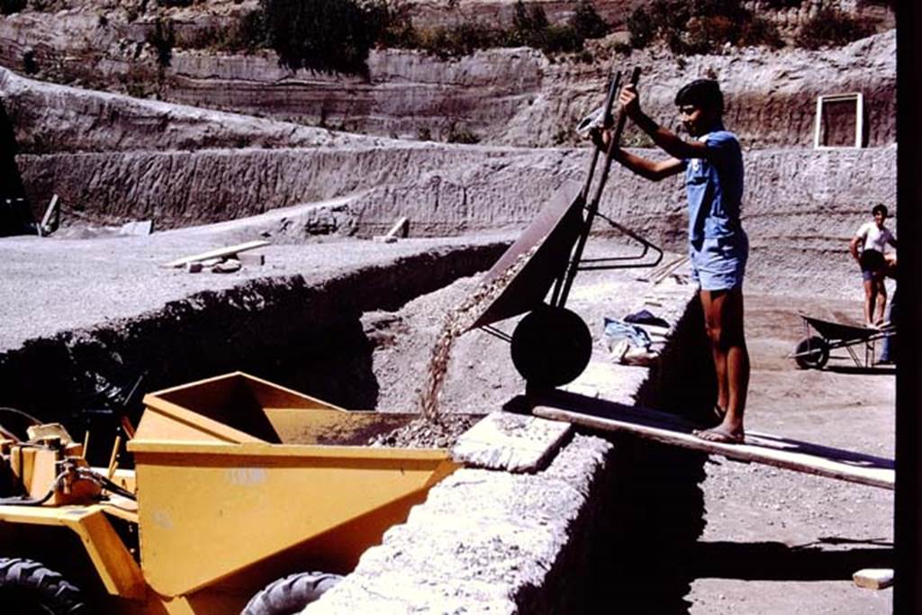 Oplontis, 1978. Looking north along east side of pool, showing the enormous task of excavating in a quarry.  Photo by Stanley A. Jashemski.   
Source: The Wilhelmina and Stanley A. Jashemski archive in the University of Maryland Library, Special Collections (See collection page) and made available under the Creative Commons Attribution-Non Commercial License v.4. See Licence and use details. J78f0315
