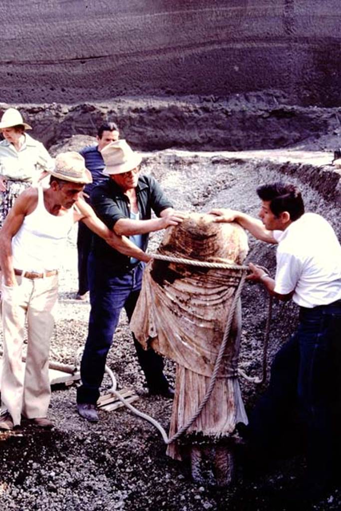 Oplontis Villa of Poppea, July 1983. Statue carefully being removed from lapilli. In the background is Wilhelmina.
Source: The Wilhelmina and Stanley A. Jashemski archive in the University of Maryland Library, Special Collections (See collection page) and made available under the Creative Commons Attribution-Non Commercial License v.4. See Licence and use details. Oplo0154
According to Wilhelmina, writing in 1984  So far six of the white marble statues that were displayed on the statue bases have been recovered. Beginning at the south end, there was a head of Hercules on the marble pillar on statue base 3, next an ephebe, and then a large statue of Nike. (see 1978 Jashemski excavations).
Balancing these in corresponding positions along the north end of the pool, was another Nike from statue base 10, a statue of Artemis/Diana (?) still standing on the statue base in front of root cavity 11, and next a head of Hercules on the marble pillar on the base in front of root cavity 12.
See Jashemski, W.F., 2014. Discovering the Gardens of Pompeii: Memoirs of a Garden Archaeologist, (p.292)
