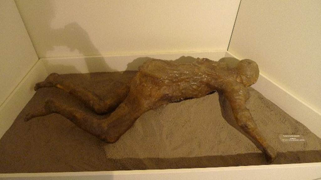 Oplontis, Villa of Lucius Crassius Tertius. July 2010. Resin cast of a woman found in 1984. 
According to the Soprintendenza notice at Oplontis, this was a new technique using resin instead of plaster. 
This gave a transparent result which allowed the bones, and the jewellery worn, to be seen. 
Photo courtesy of Michael Binns.
According to Malandrino, During the excavation of the villa of L. Crasso Terzo there was also found the first victim from the Pagus Oplontino, of which it was possible to obtain a cast: 
She was a young woman, adorned with armlet and gold earrings, affected by the poisonous fumes while she attempted to escape in a vain hope of salvation. 
See Malandrino, C., 1981, Sylva Mala II, p. 3-4.

