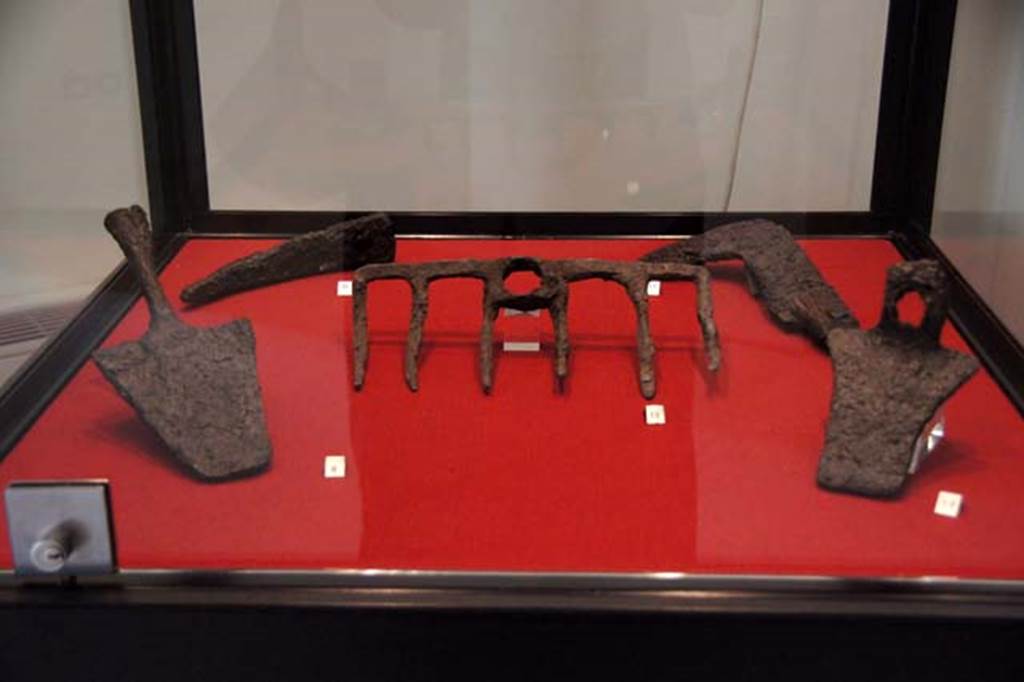 Gragnano, Villa rustica in Località Carmiano, Villa A. Agricultural implements.
Stabiae Antiquarium, inventory numbers 
63297 vanga (spade) found in room 2.
63295 piccone (pickaxe) found in room 2.
63484 rastrello (rake) found in room 8.
63416 roncola (billhook) found in room 4.
63296 zappa (hoe) found in room 2.
Photo courtesy of Margaret Hicks.

