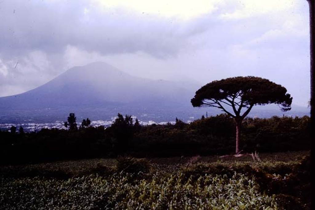 Looking north from hotel in modern Pompeii, towards a cloud covered Vesuvius. 1964.  Photo by Stanley A. Jashemski.
Source: The Wilhelmina and Stanley A. Jashemski archive in the University of Maryland Library, Special Collections (See collection page) and made available under the Creative Commons Attribution-Non-commercial License v.4. See Licence and use details.
J64f1391
