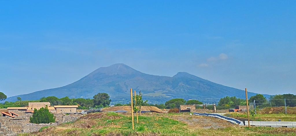 Vesuvius, March 2010. View across autostrada. Photo courtesy of Rick Bauer.